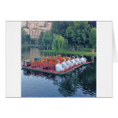 Boston Swan Boats (Front Horizontal)