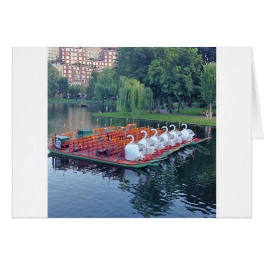 Boston Swan Boats Cards (Front Horizontal)