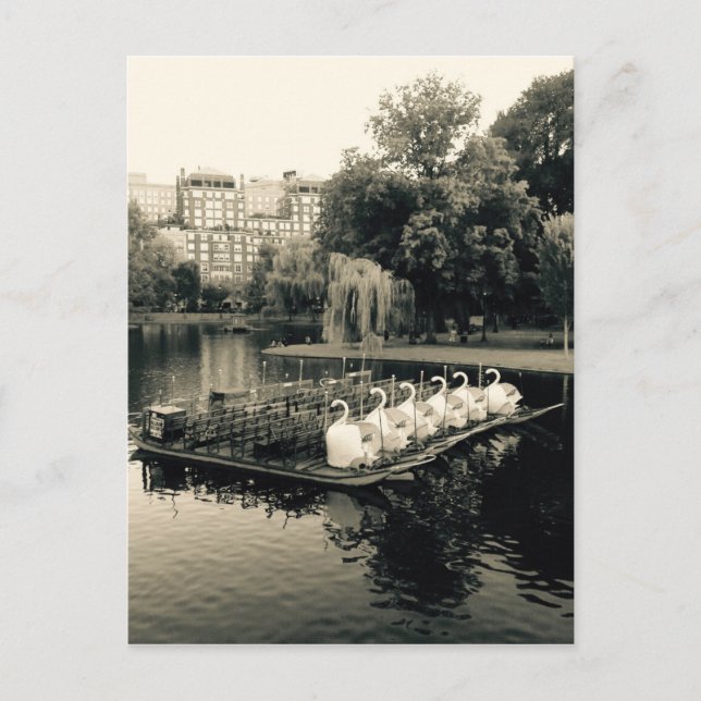 Boston Swan Boats In Black and White Postcard (Front)