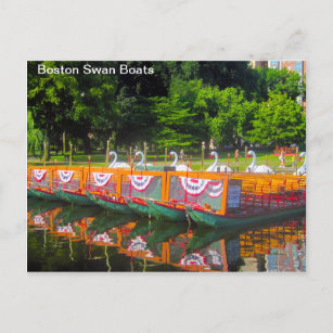 Boston Swan Boats Postcard