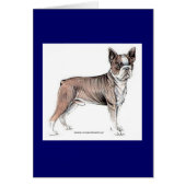 Boston Terrier (Front)