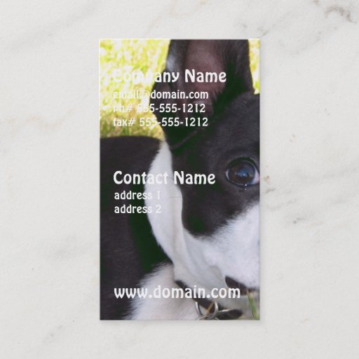 Customizable boston-terrier-1 business cards