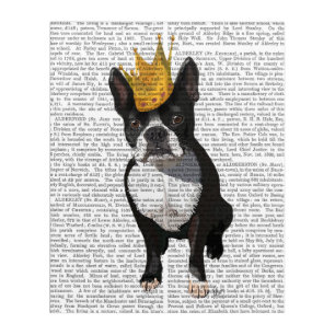 Boston Terrier And Crown Acrylic Print
