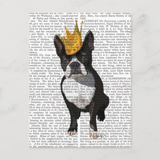 Boston Terrier And Crown Postcard (Front)