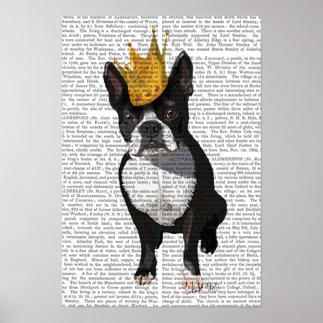 Boston Terrier And Crown Poster (Front)