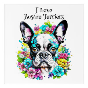 Boston Terrier and Flowers Acrylic Print