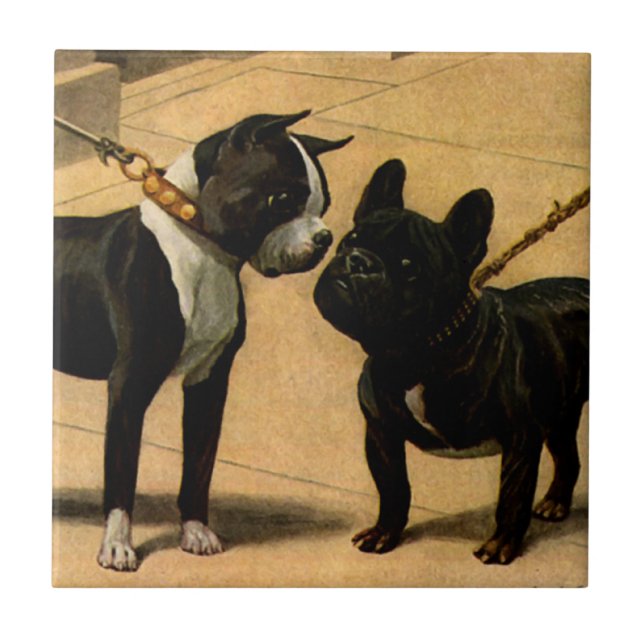 Boston Terrier and French Bulldog Ceramic Tile (Front)