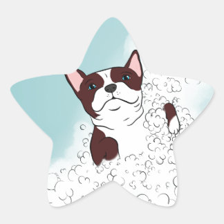 Boston Terrier Bath Star Sticker