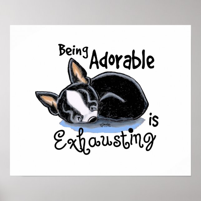 Boston Terrier Being Adorable Poster (Front)