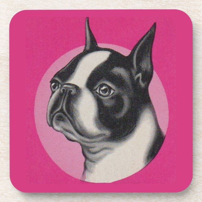  Boston terrier  Beverage Coaster (Front)