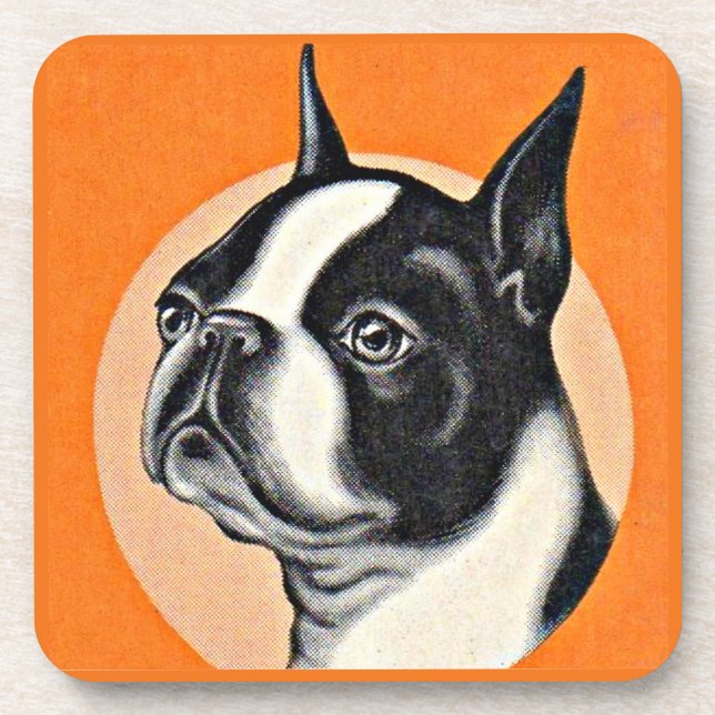 Boston terrier beverage coaster (Front)