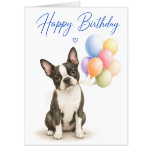 Boston Terrier Big Birthday Card