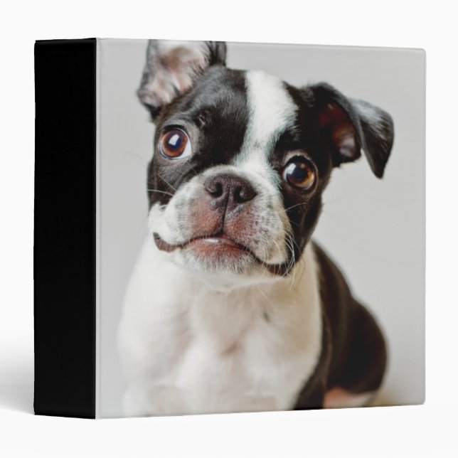 Boston Terrier Binder (Front/Spine)