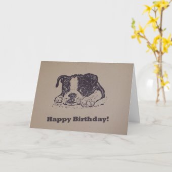 Boston Terrier Birthday Card | Zazzle
