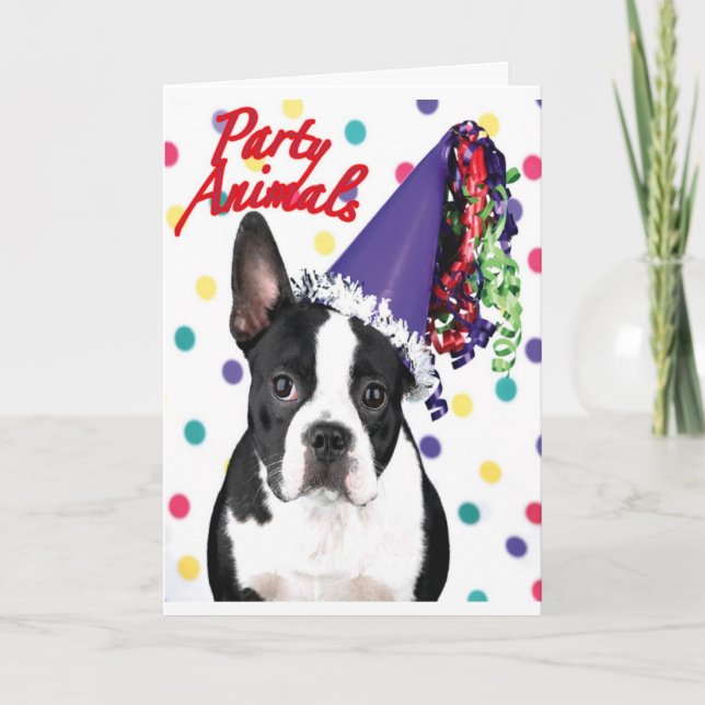 Boston Terrier Birthday Card (Front)