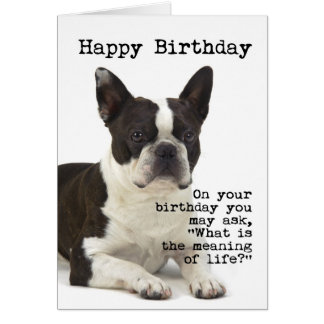 Boston Terrier Birthday Cards | Zazzle