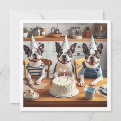 Boston Terrier birthday card Boston terrier  Invitation