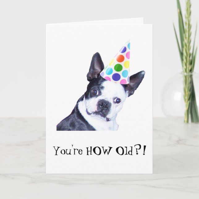 Boston Terrier Birthday Party - Card (Front)