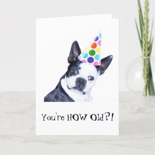Boston Terrier Birthday Party - Card