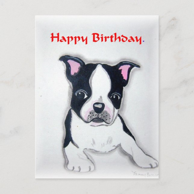 Boston Terrier Birthday postcard (Front)