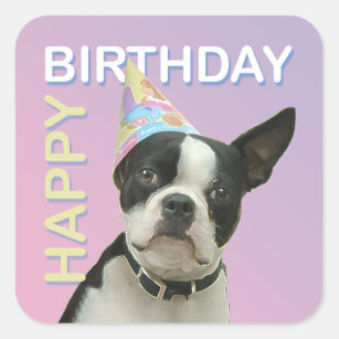 Boston Terrier Birthday Sticker