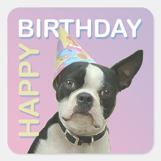Boston Terrier Birthday Sticker (Front)