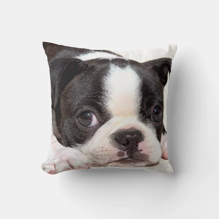 NEW CUTE BOSTON TERRIER PUPPY PHOTO PRINT BLACK WHITE 16" Pillow Cushion Cover 