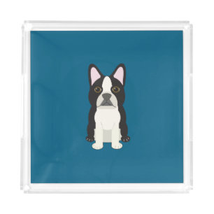 Boston Terrier blue Acrylic Tray