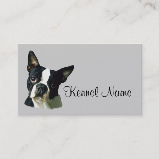 Customizable Boston Terrier Breeder Business Card