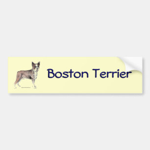 Boston Terrier Bumper Sticker