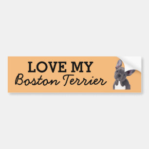 Boston Terrier bumper sticker
