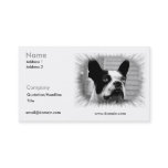 Boston Terrier Business Card