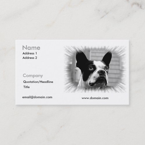 Boston Terrier Business Card