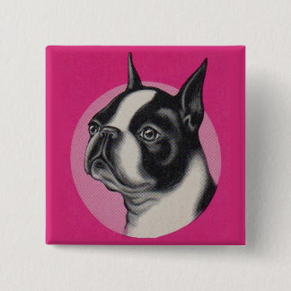 Boston terrier button