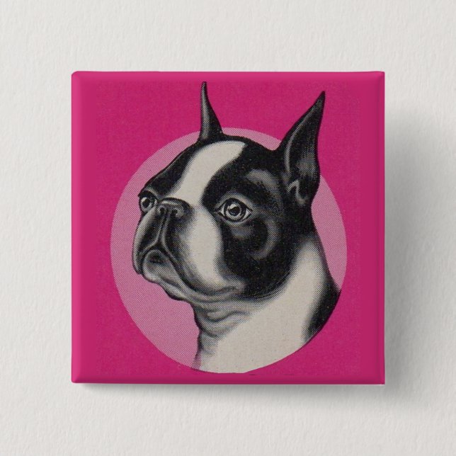 Boston terrier button (Front)