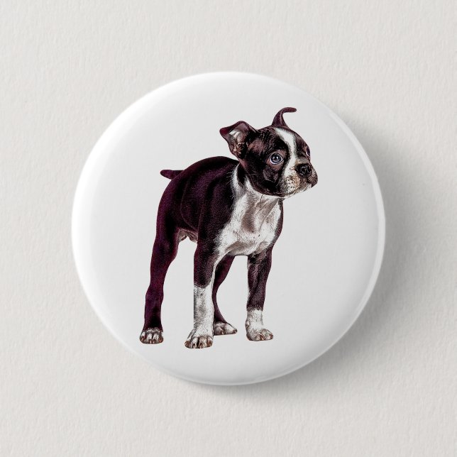 Boston Terrier Button (Front)