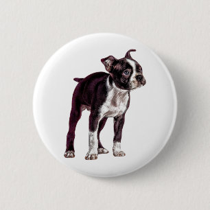 Boston Terrier Button