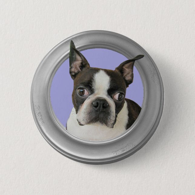 BOSTON TERRIER-BUTTON PINBACK BUTTON (Front)