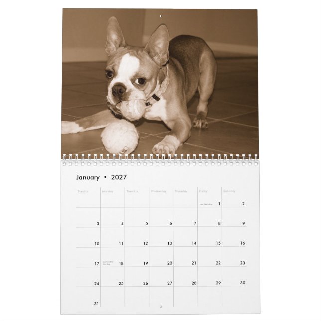 Boston Terrier Calendar 2012 (Jan 2027)