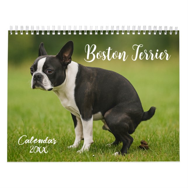 Boston Terrier calendar 2026 (Cover)