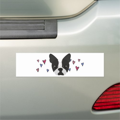  Boston Terrier  car bumper decal Car Magnet