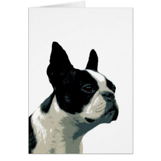 boston terrier cards