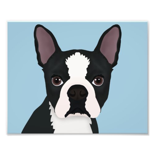 boston terrier cartoon photo print