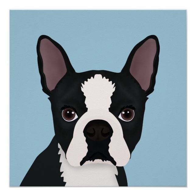 boston terrier cartoon poster (Front)