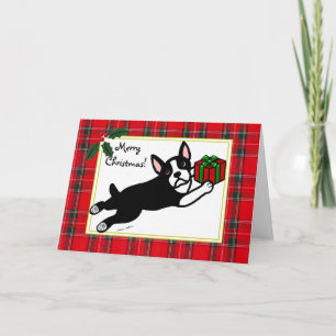 Boston Terrier Cartoon Tartan Christmas Cards