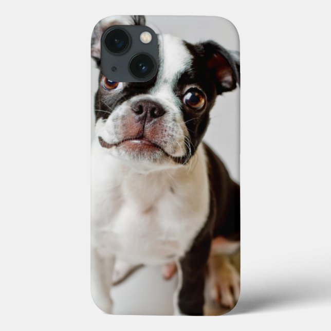 Boston Terrier Case-Mate iPhone Case (Back)