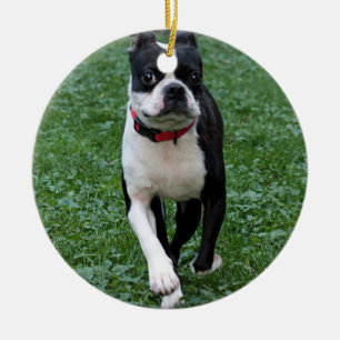 Boston terrier ceramic ornament