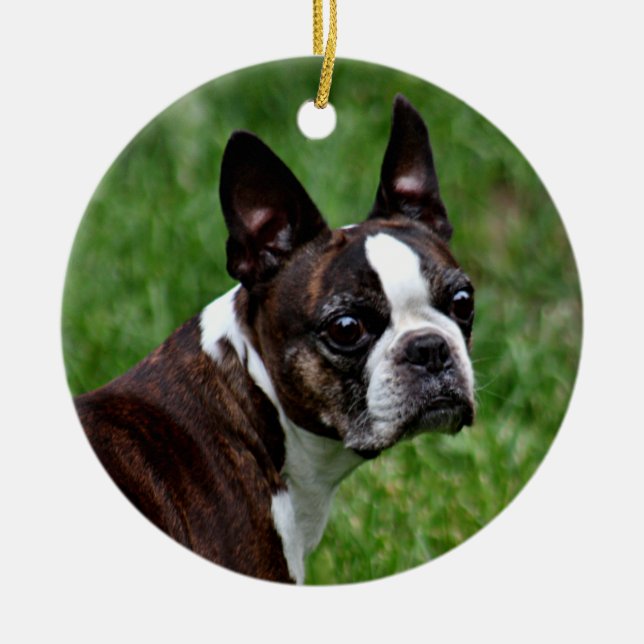 Boston terrier ceramic ornament (Front)