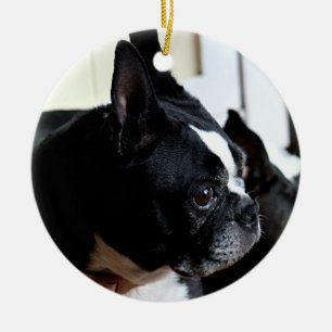 Boston terrier ceramic ornament