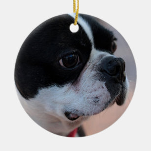 Boston terrier ceramic ornament